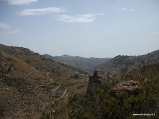 Monte Naturi